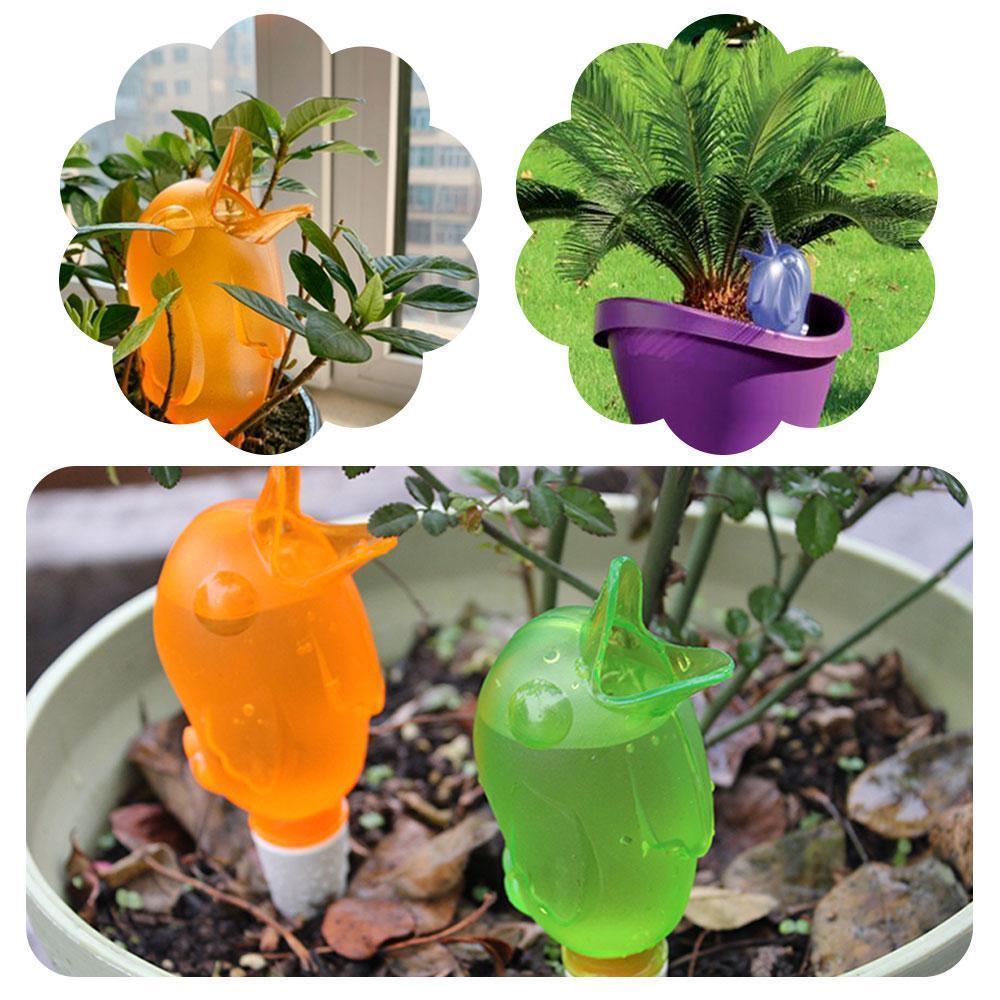 Lisslune | Automatic small bird watering device