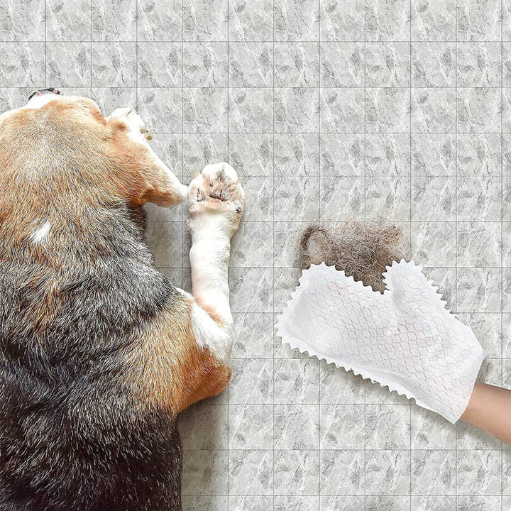 Lisslune | Household Cleaning Gloves