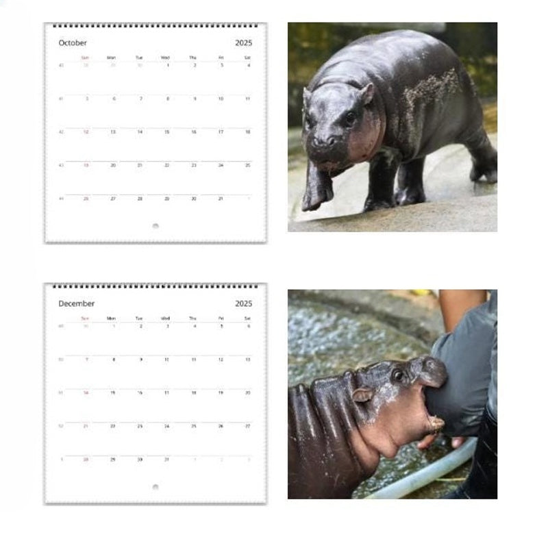 Lisslune | Moo Deng Calendar | Calendar 2025