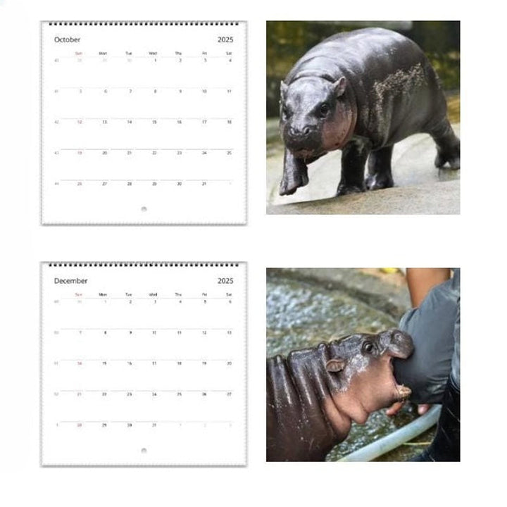 Lisslune | Moo Deng Calendar | Calendar 2025