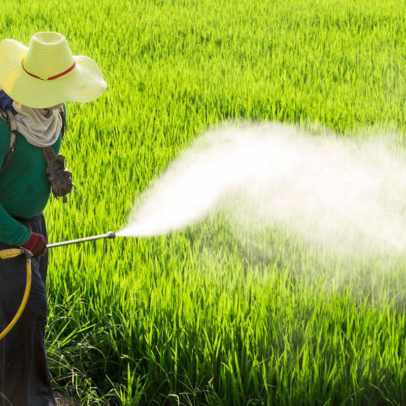 Lisslune | High Pressure Air Vortex Spray Nozzle for Agricultural Applications