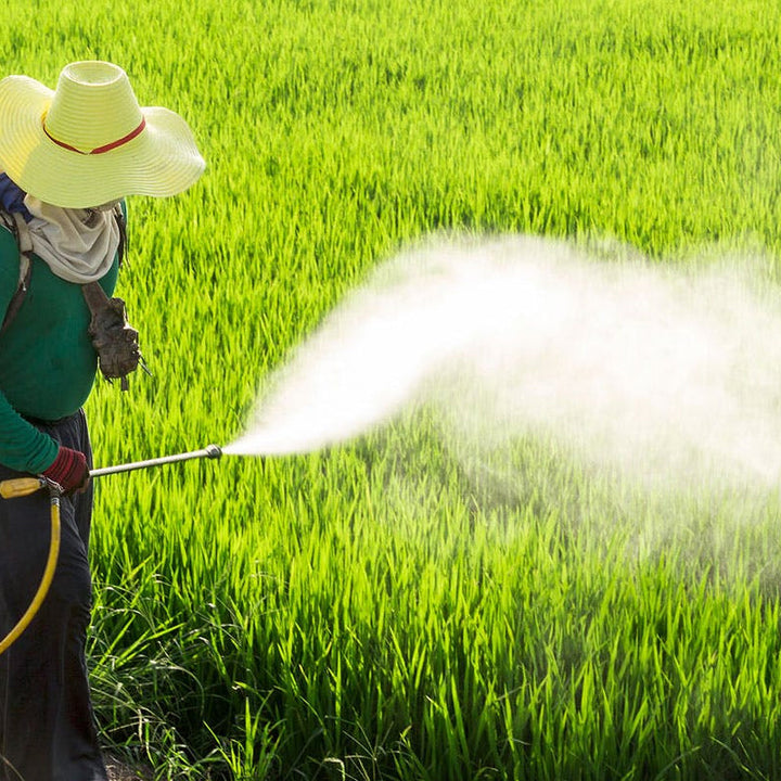 Lisslune | High Pressure Air Vortex Spray Nozzle for Agricultural Applications