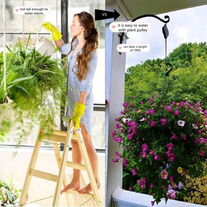 Lisslune | Plant Hanging Set - 4 Piece Set