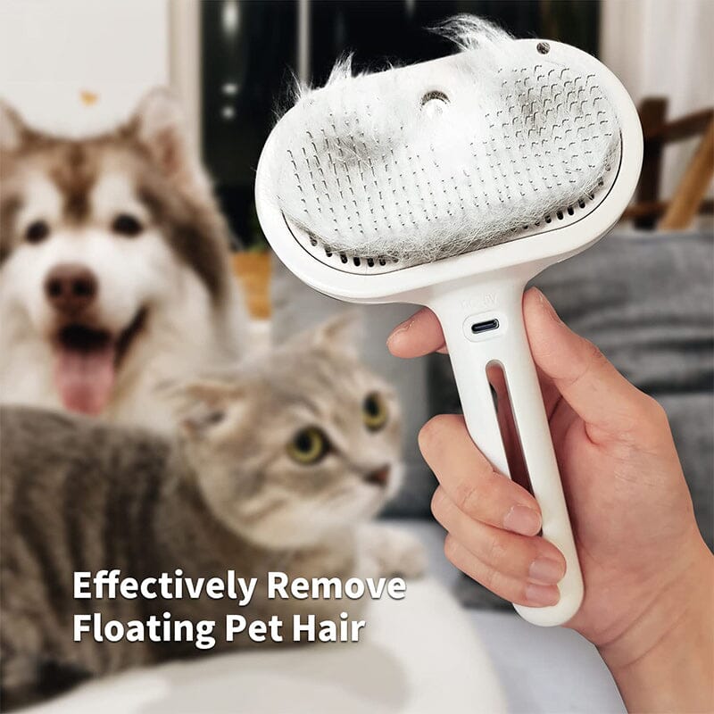 Lisslune | Spray Cat Brush