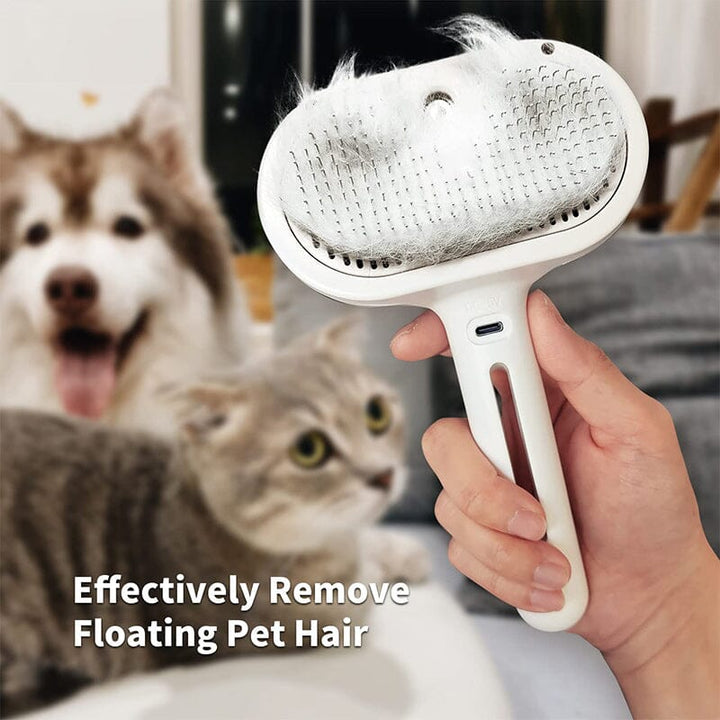 Lisslune | Spray Cat Brush