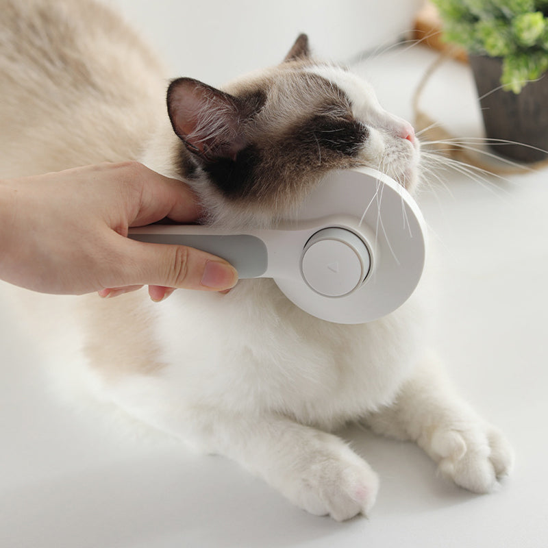 Lisslune | Self-cleaning slicker brushes for pets