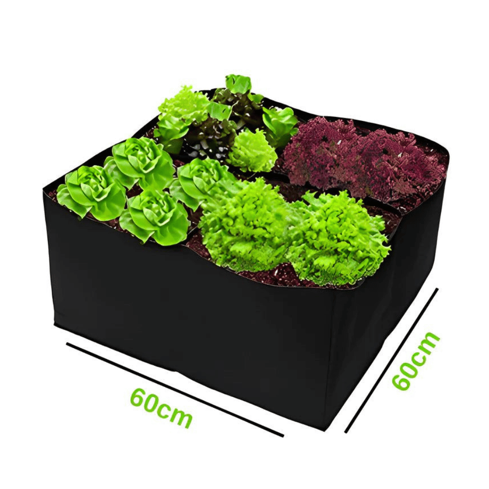 Lisslune | The Mini Vegetable Garden Organic - Grow Your Own Vegetables
