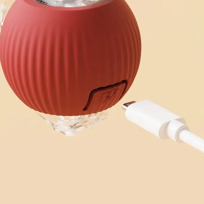 Lisslune | Indoor Cat interactive ball