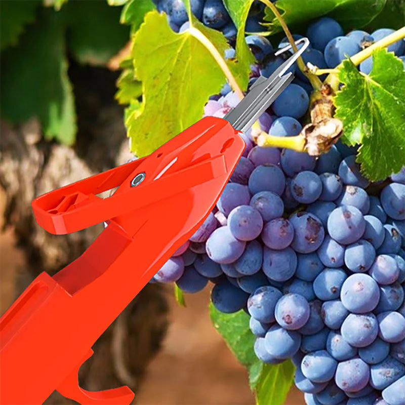 Lisslune | Efficient Pepper Collecting Tools