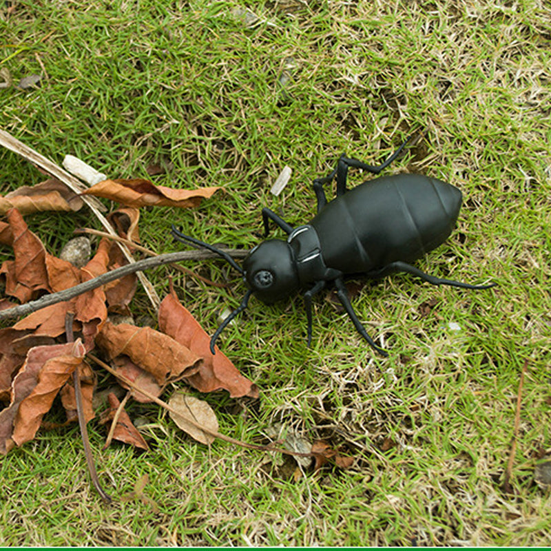 Lisslune | Remote Control Electric Animal Toy