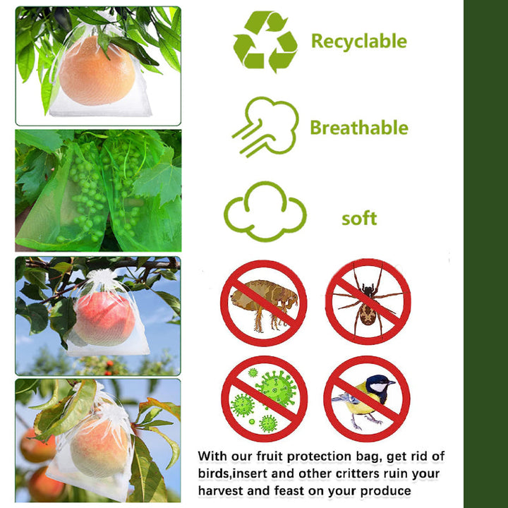 Lisslune | Fruit Protection Bag (100 PCS)