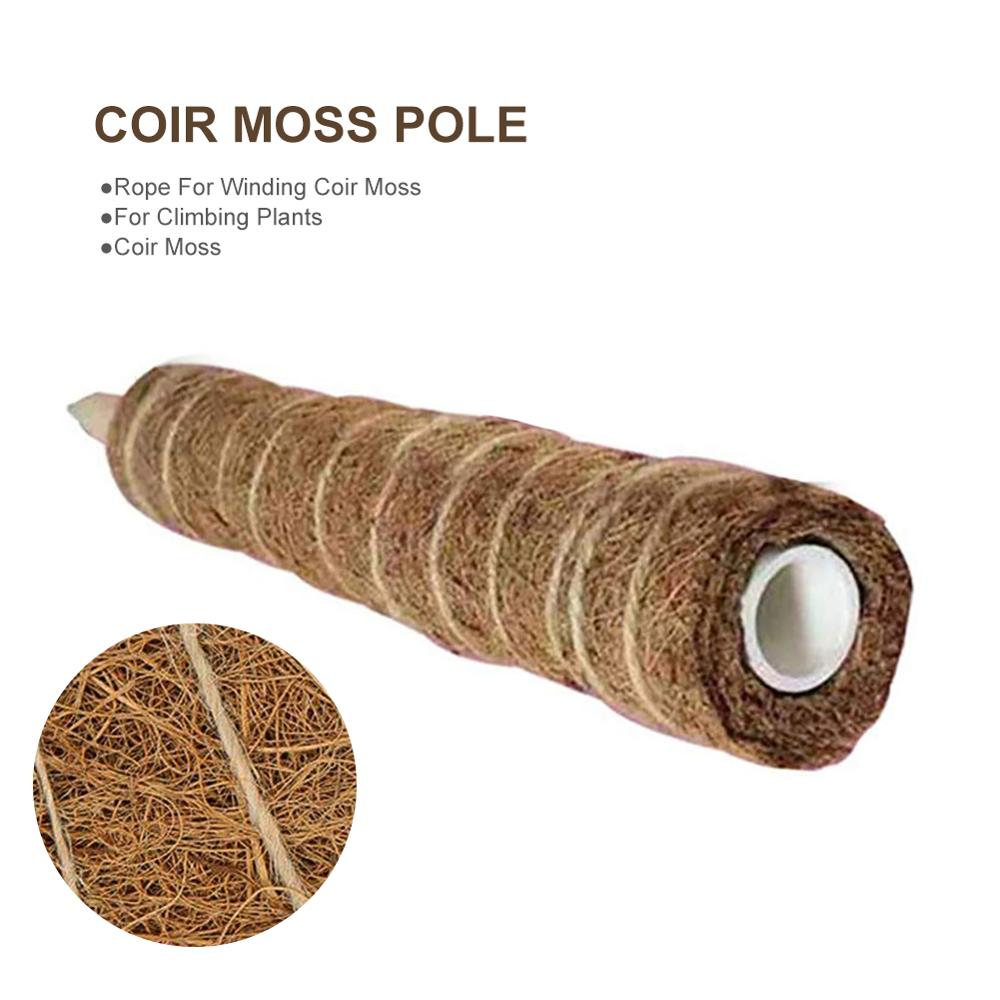 Lisslune | Coconut moss stick for climbing plants – Natural climbing aid for houseplants and garden