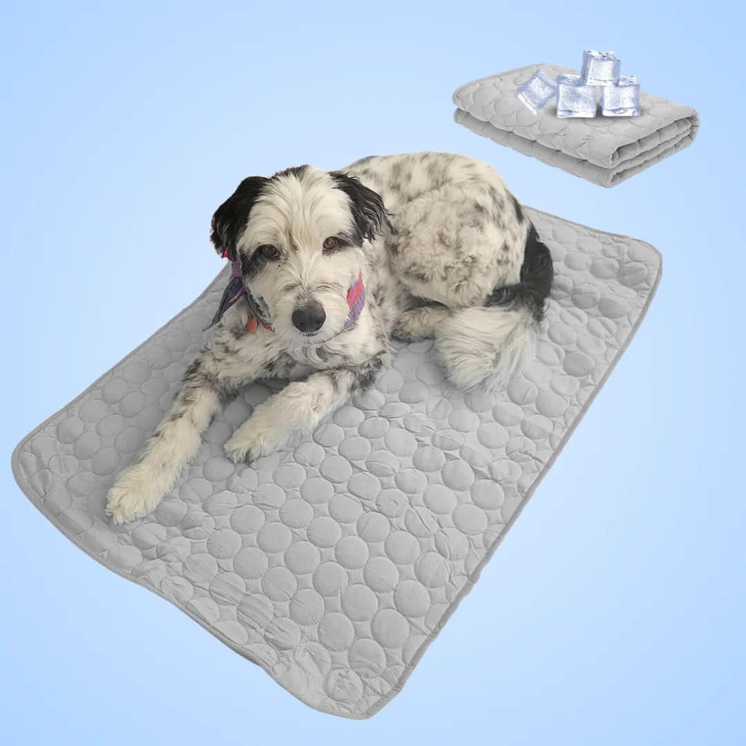 Lisslune | COOLTAILS - Premium Cooling Mat
