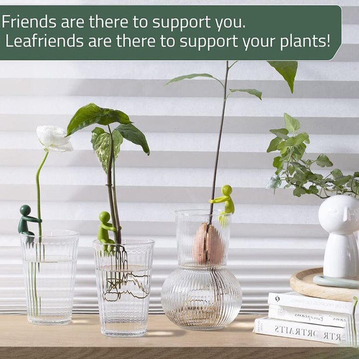 Lisslune | Plant Propagation Friend