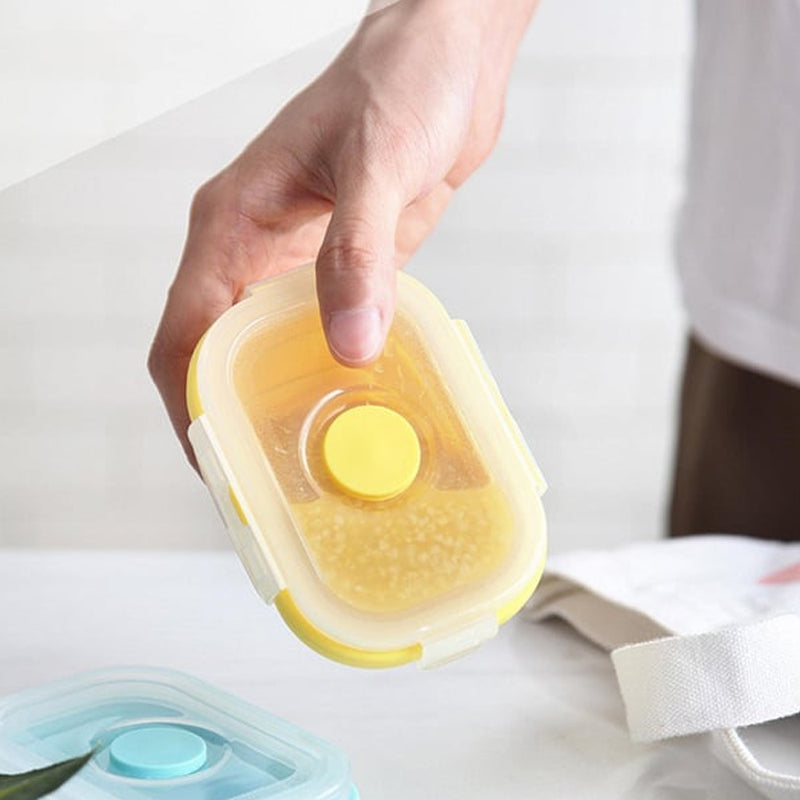 Lisslune | Sealable Food Storage Box