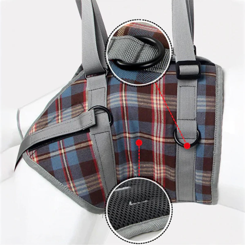 Lisslune | Orthopedic Strap for Hind Legs