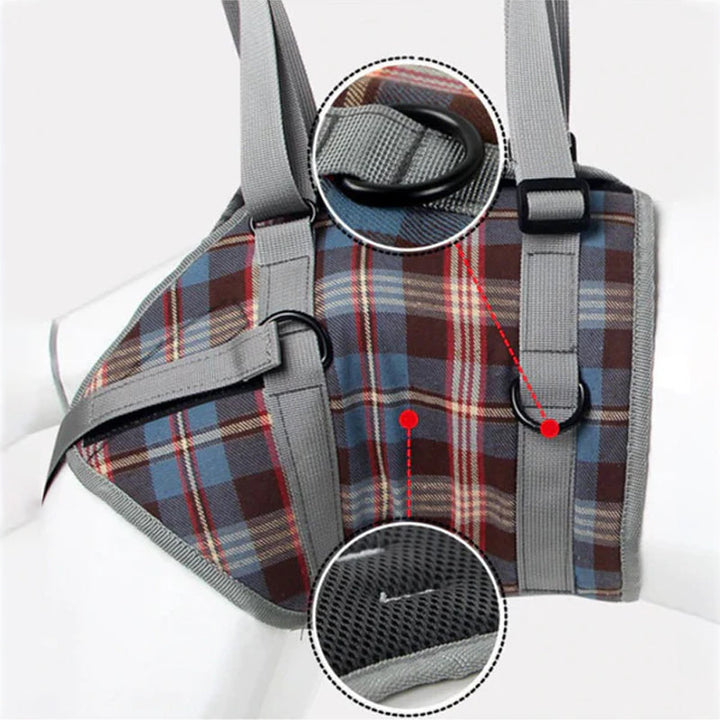 Lisslune | Orthopedic Strap for Hind Legs