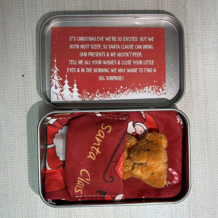 Lisslune | Teddy Bear Christmas Gift