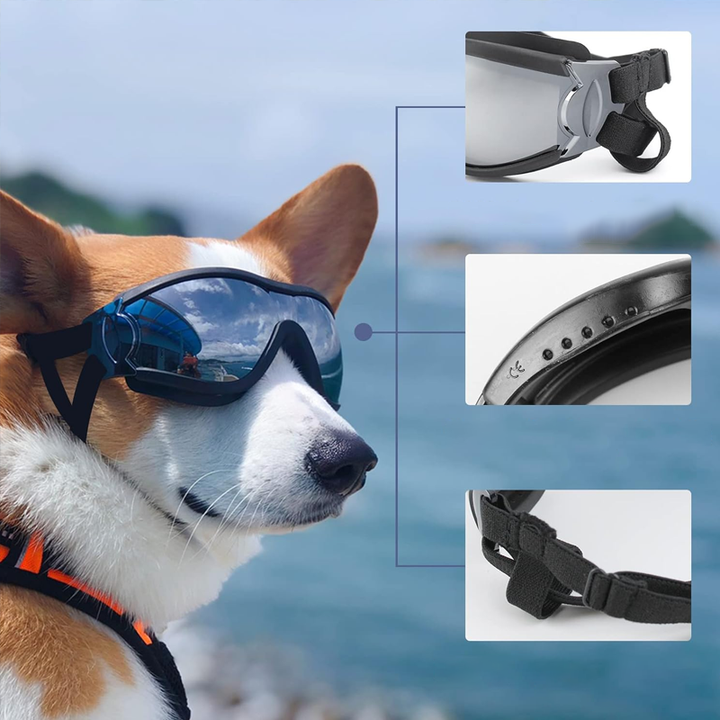 Lisslune | Outdoor Protection Glasses for Dogs