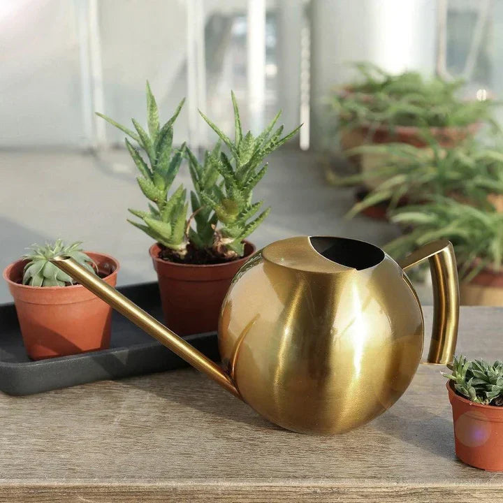 Lisslune | AquaSleek - Precision watering can for delicate plants
