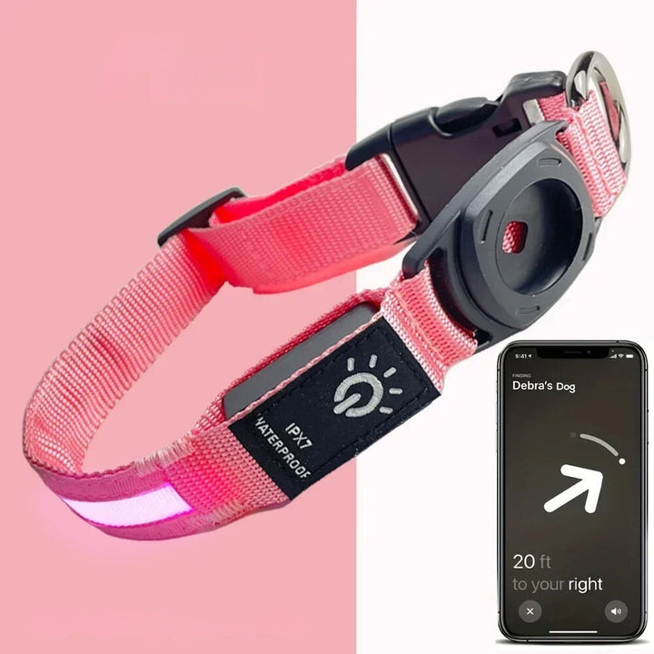 Lisslune | Flashing Dog Collars – Waterproof LED Light Up Dog Collar with USB Rechargeable Glow, Dog Collars Illuminated for Night Safety, All Sizes