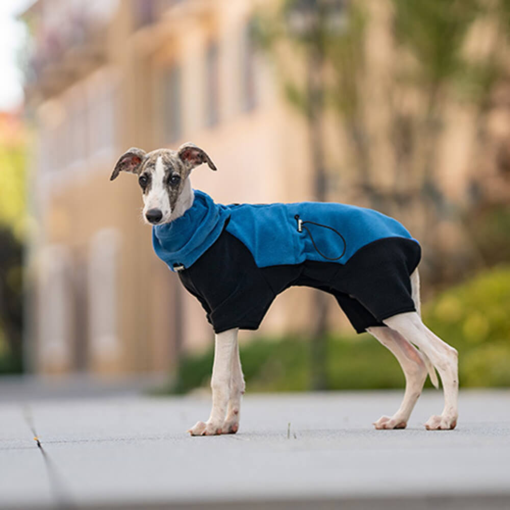 Lisslune | Full Protection Polar Fleece Dog Overall with Removable Collar