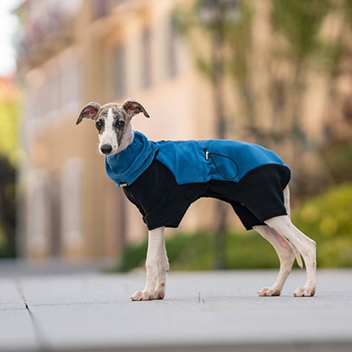 Lisslune | Full Protection Polar Fleece Dog Overall with Removable Collar