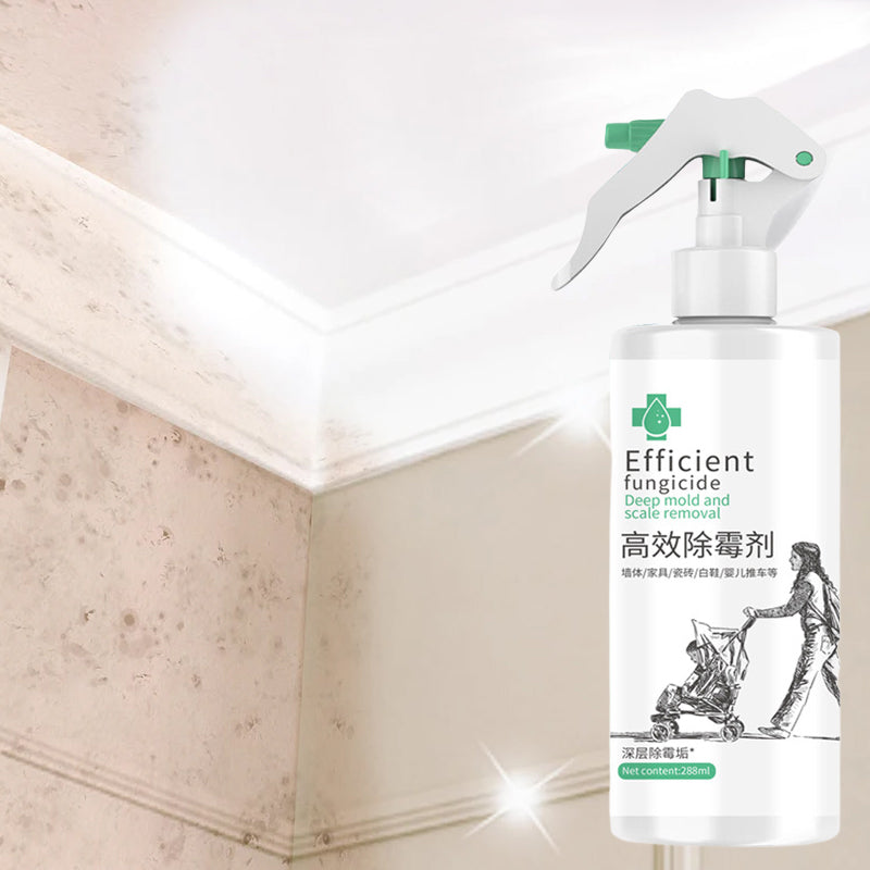 Lisslune | High-Efficiency Mold Remover