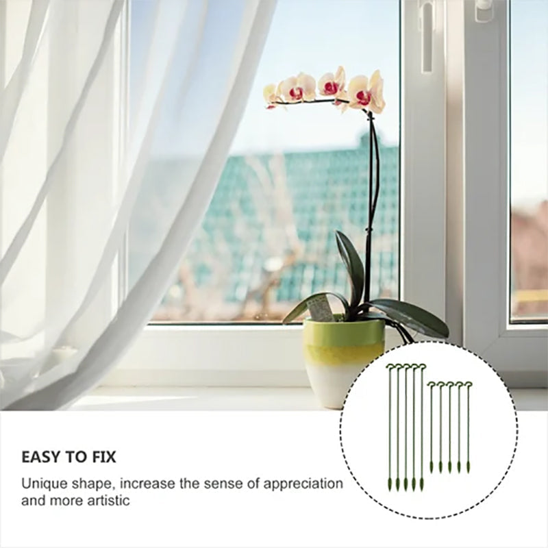 Lisslune | Plant Supports Stake