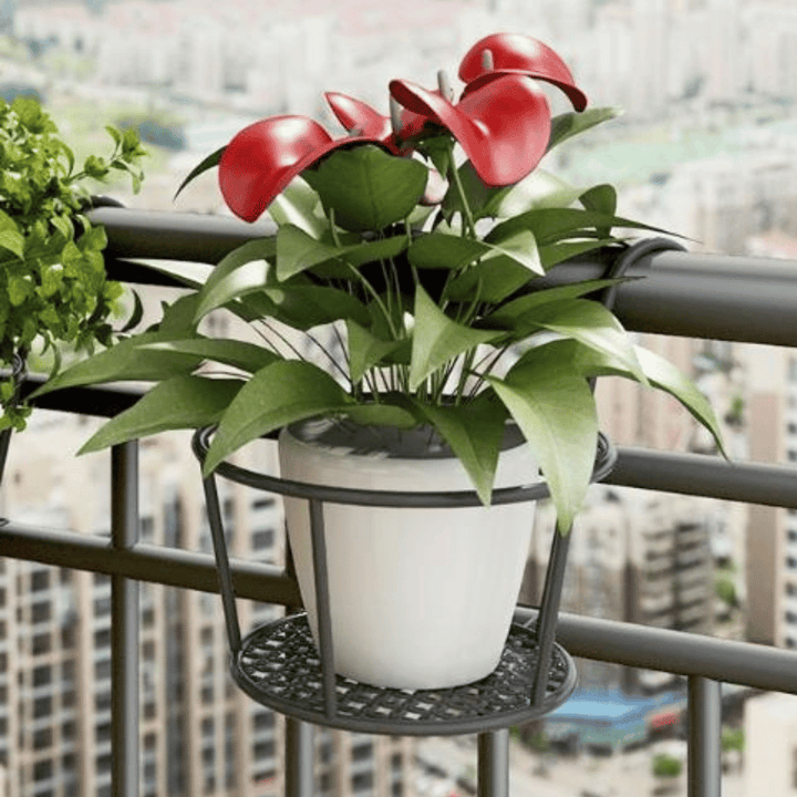 Lisslune | Support hanging for plants