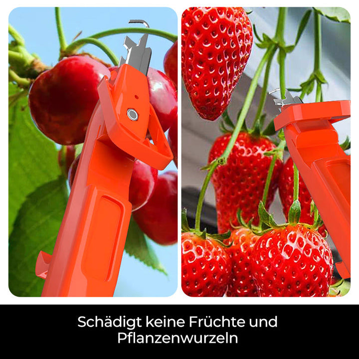 Lisslune | Efficient Pepper Collecting Tools