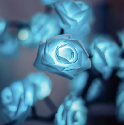 Lisslune | BloomVerve - Radiant Rose Lamp