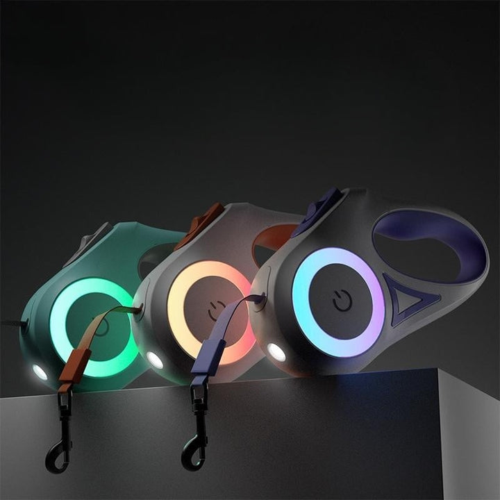 Lisslune | Luminous lead for pets