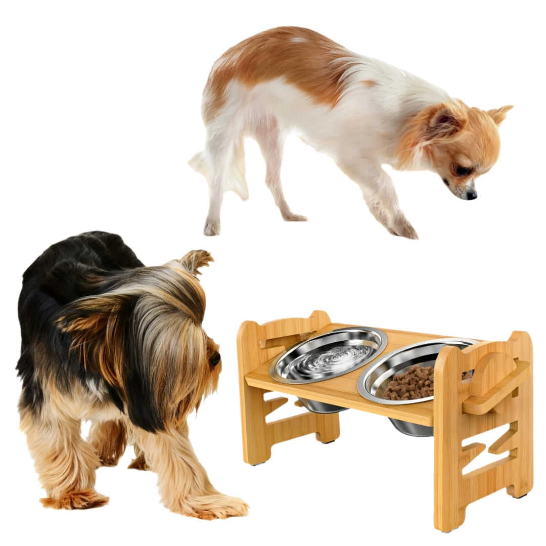 Lisslune | Elevated non-slip dog bowl stand with double bowls