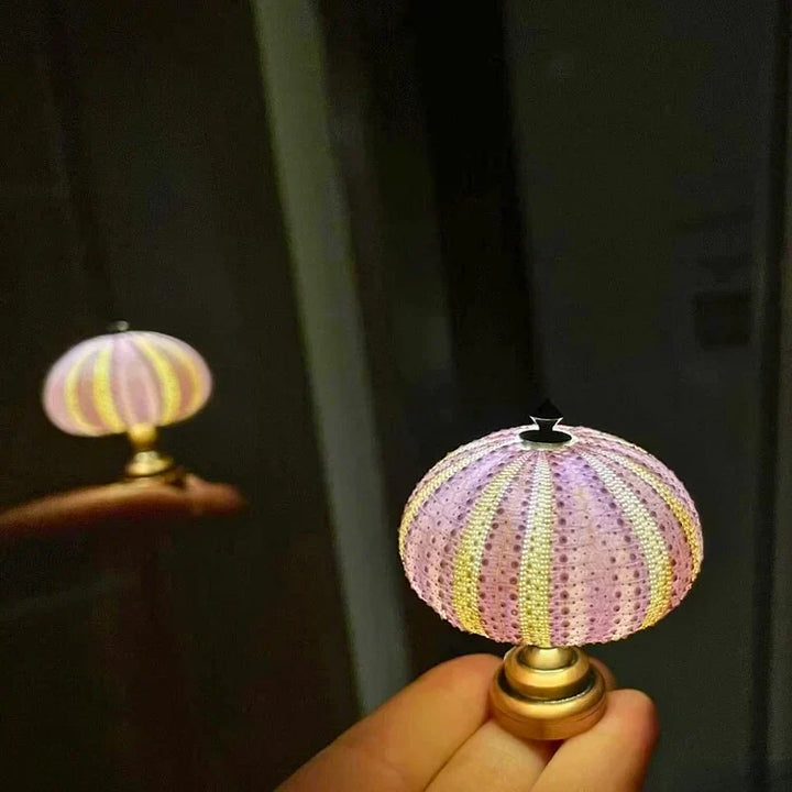 Lisslune | LumiCraft – Unique DIY table lamp with natural sea shell for a cozy décor