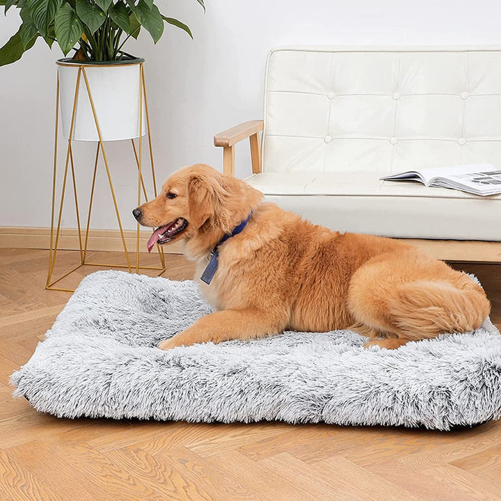 Lisslune | Plush Washable Dog Bed