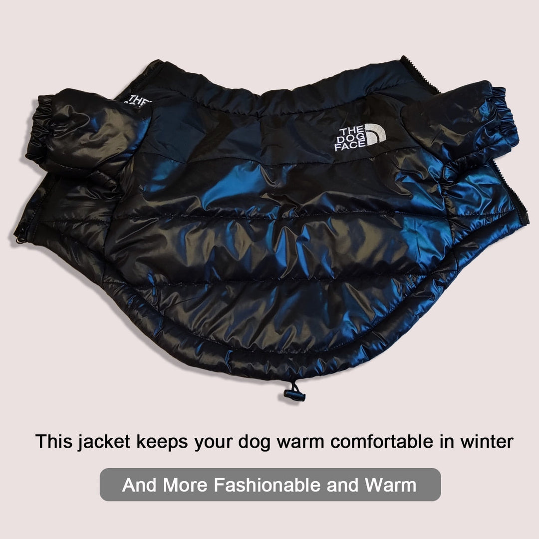 Lisslune | Windproof Reflective Dog Jacket