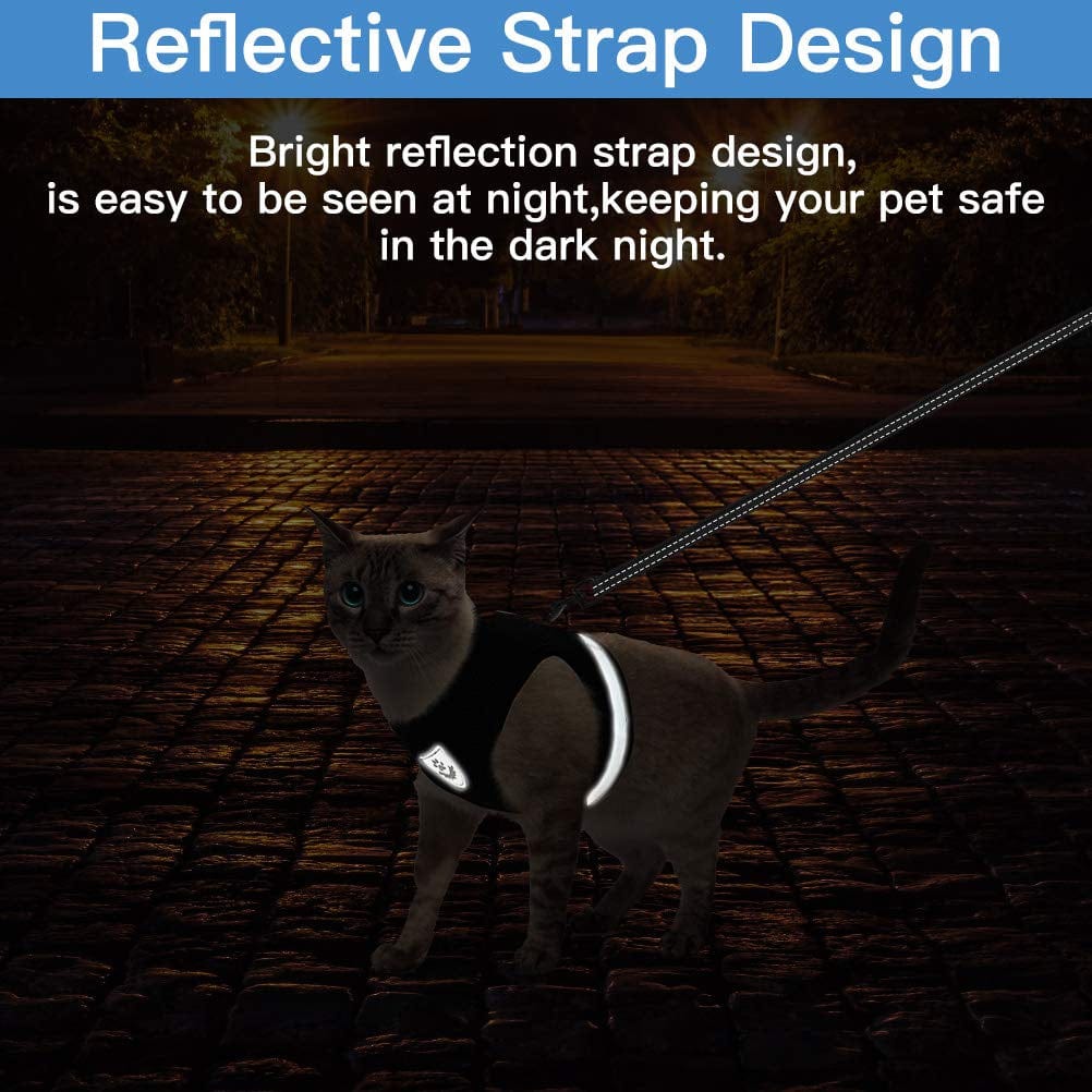 Lisslune | Cat collar and leash