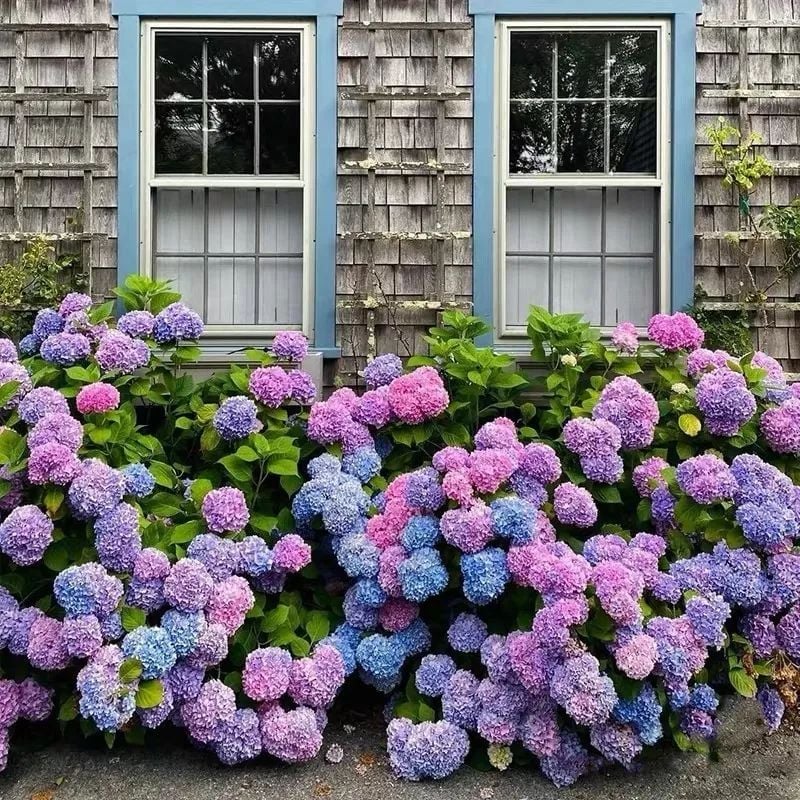 Lisslune | Outdoor Artificial Hydrangea Flowers