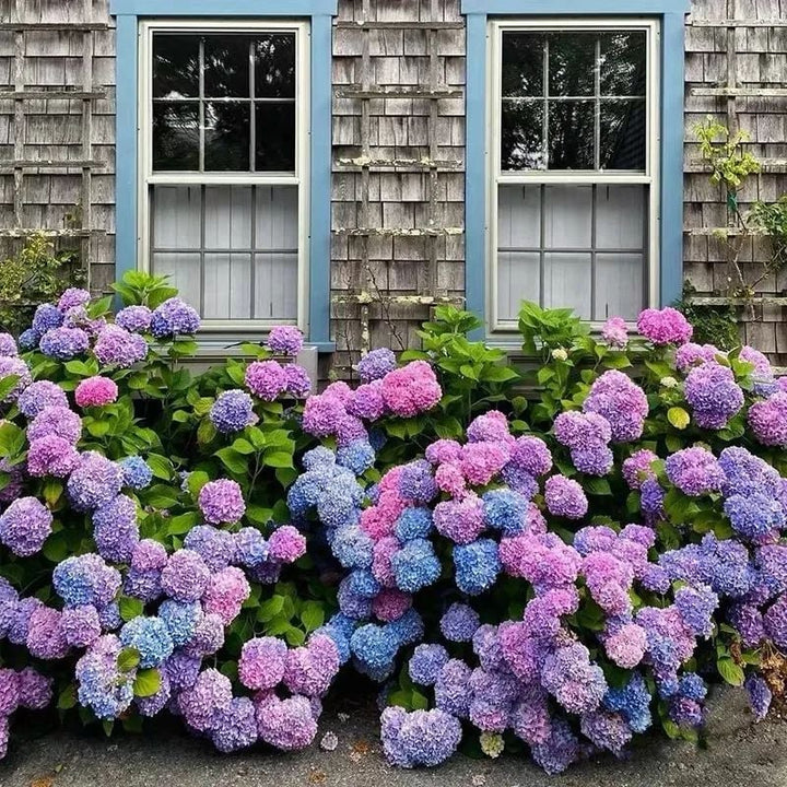 Lisslune | Outdoor Artificial Hydrangea Flowers
