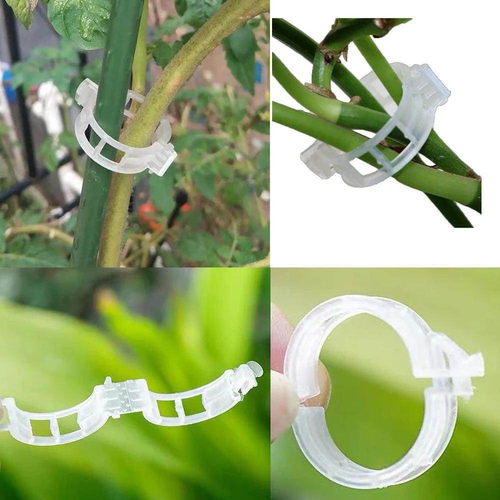 Lisslune | Plant support clip for climbing plants – Flexible holder for plant stems