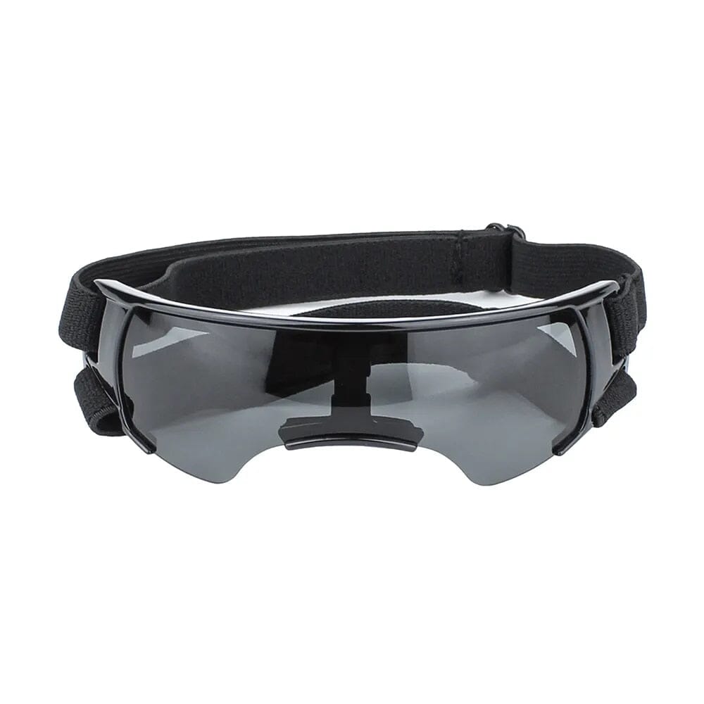 Lisslune | Pet Sunglasses