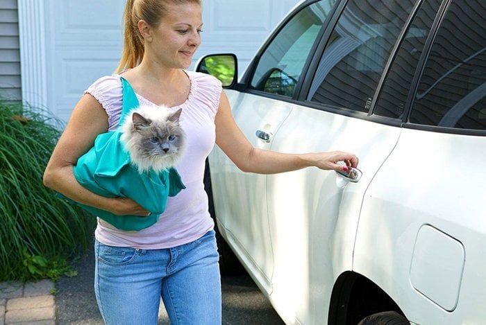 Lisslune | Cat Carry Pouch