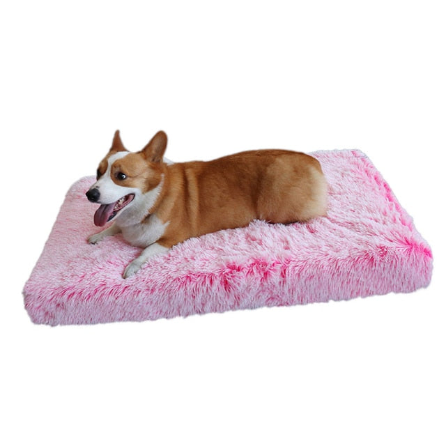 Lisslune | Plush Washable Dog Bed