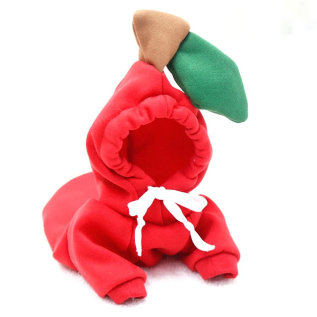 Lisslune | Pet Hoodies