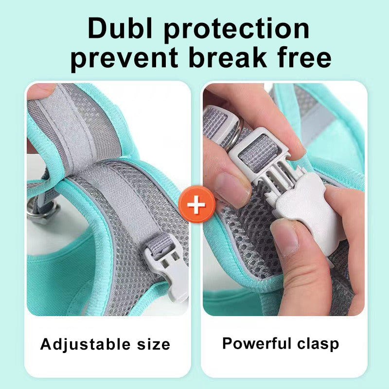 Lisslune | Small pet harness and leash set