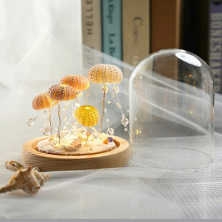 Lisslune | LumiCraft – Unique DIY table lamp with natural sea shell for a cozy décor
