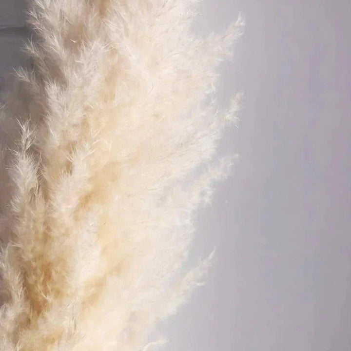 Lisslune | 80 cm natural, real dried pampas grass bouquet (white / beige / gray) │ fluffy feather for modern boho home decor
