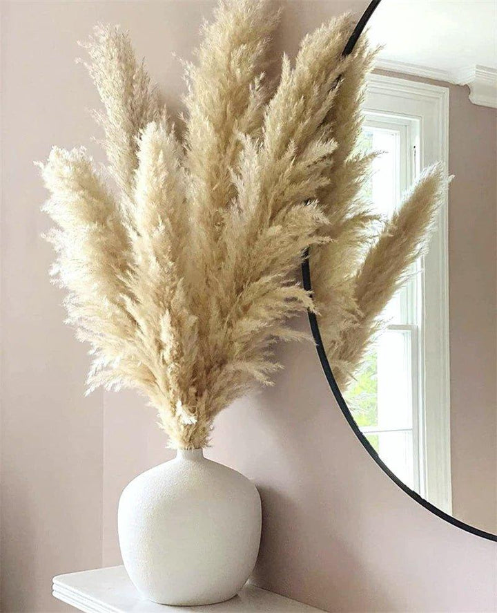 Lisslune | 80 cm natural, real dried pampas grass bouquet (white / beige / gray) │ fluffy feather for modern boho home decor