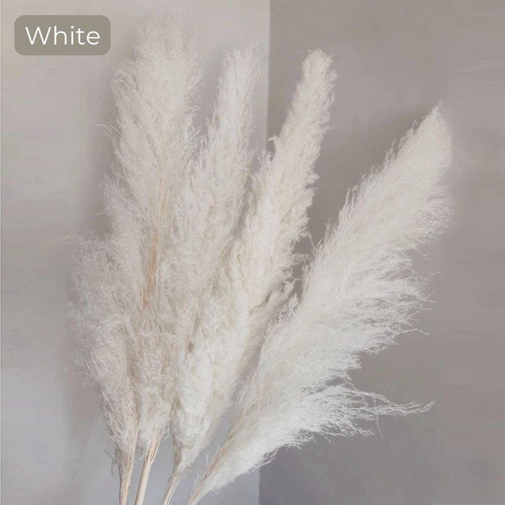 Lisslune | 80 cm natural, real dried pampas grass bouquet (white / beige / gray) │ fluffy feather for modern boho home decor